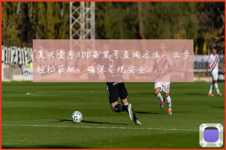 复兴壹号app备案号查询方法，三步轻松获取，确保合规安全，