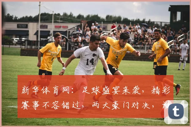新华体育网：足球盛宴来袭，精彩赛事不容错过，两大豪门对决，谁将问鼎冠军